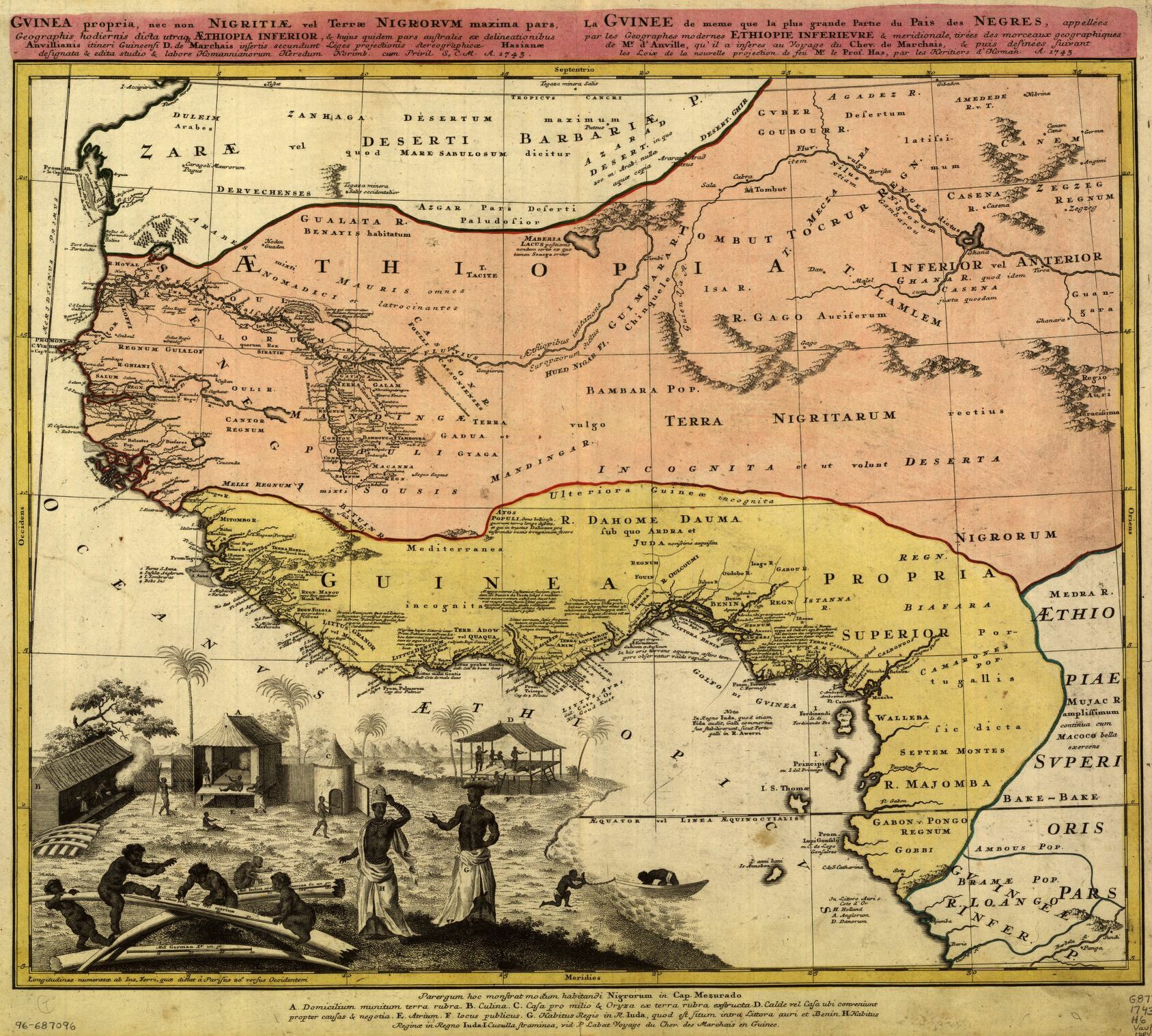 Guinea and Ethiopia regions